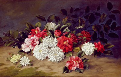 Still life of Chrysanthemums and Camelias, 1883 by W. R. Thompson